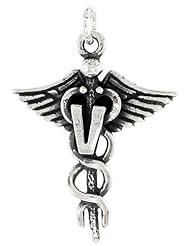 Sterling Silver Veterinary Caduceus (Medical Symbol) Pendant, 1 inch tall