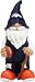 Denver Broncos 2008 Team Gnome