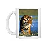 Bengal / Indian Tiger - walking in water, facing camera Photo Mugs