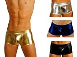 MENS LIQUID METALLIC HOT BODY BOXER SWIMSUIT GARY MAJDELL SPORT