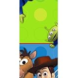 Hallmark Toy Story 3 Table Cover