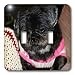 Jos Fauxtographee Realistic - Adorable Shiatsu Pug Pet Dog in Vibrant Pink and Green Sweater With Cute Hair Cut Close Up - Light Switch Covers - double toggle switch