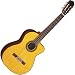 Takamine G Series EG128SC Acoustic Electric Classical Guitar