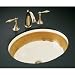 KOHLER K-14218-S1-96 Saree Design on Caxton Undercounter Lavatory, Biscuit