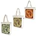outdoorproducts AEghAv_Nc g[gobO odt05