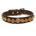 Calcite Pet Collar 01 Large Yellow Stone Diamond Brown Crystal Dog 18.5