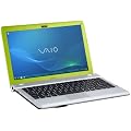 Sony Vaio YB3V1E/G 29,4 cm (11,6 Zoll) Notebook (AMD E-450, 1,65GHz, 4GB RAM, 500GB HDD, AMD HD 6320, Win 7 HP) gr�n