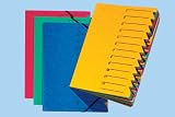 Produkt-Bild: Pagna 24131-02 Ordnungsmappe Easy, Pressspan, A4, 12 F&auml;cher, buntes Register, Einband blau
