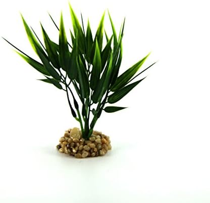 Classic Sea Scapes Bamboo Hanging Plant (Mini)