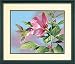 Dimensions Needlecrafts Paintworks Paint By Number, Hibiscus Hummingbird