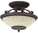 Hunter Fan #21825 Bronze Ceiling Heat Light