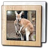 Red Kangaroo - 6 Inch Tile Napkin Holder