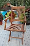 Bristol Folding Armchair - B002H0QIES