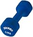 IVANKO(�C���@���R) IVD-2.5KG �l�I�v�����r���[�e�B�[�_���x�� 2.5kg �u���[(1�{)
