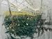 Colorful Flowers are Nurtured and Maintained in a Greenhouse Photographic Poster Prin...