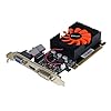 PNY NVIDIA GeForce GT 620 1GB GDDR3 VGA/DVI/HDMI PCI-Express Video Card VCGGT620XPB