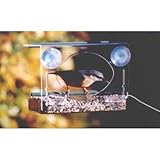 WILD BIRD WINDOW FEEDER/TABLE CLEAR VIEW OVERHANG ROOF
