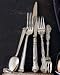 Pantheon Flatware 66Piece Service