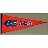 NCAA Michigan State Spartans Traditions Wool Pennant