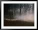 Forest Mist in Rural North West Sjaelland, Sjaelland Island, West Zealand, Denmark Places Framed Art Poster Print by Martin Llado, 49x39