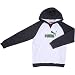 Sporting Goods : Puma Raglan Hoodie Boys