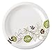 Dixie SXP10PATH Pathways Heavyweight Paper Plates, WiseSize, 10.125 in., 500/Carton by Dixie