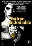 Estirpe Indomable. (1978).King Of The Gypsies