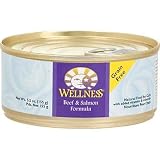 Wellness Adult Beef and Salmon Canned Cat Food