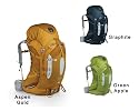 Atmos 65 (2009) Internal Frame Backpack - In Your Choice of Styles