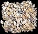 1 Pound Mixed Nassa/ Dove Seashells Shell Bulk Craft