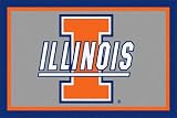 Illinois Fighting Illini 3 x 5 Area Rug