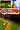The Legend of Spyro: The Eternal Night (Nintendo DS)
