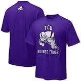Nike Texas Christian Horned Frogs Purple Old School Football T-shirt
