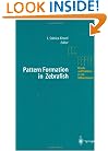 Pattern Formation in Zebrafish (Results and Problems in Cell Differentiation)