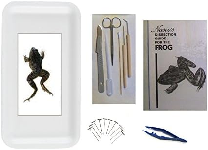 Frog Dissection Kit with Guide, Tray, Tools and Preserved Specimen