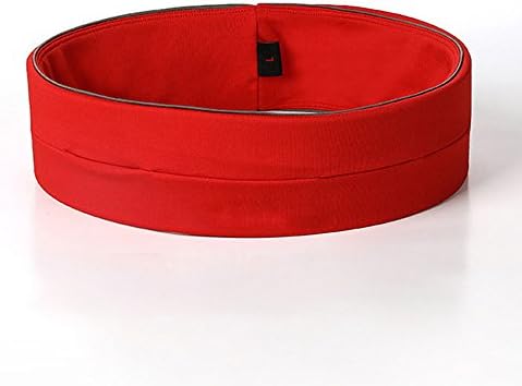 Promazone Running and Fitness Workout Waist Pack (Red, Large)