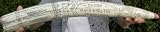 Whaling Ship Niger  Sea Fox Scrimshaw Walrus Tusk Replica