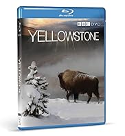 BBC Yellowstone Tales From the Wild Blu-ray™ DVD