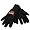 Oregon State Beavers