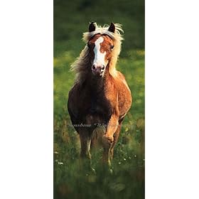 Free 5105 Wall Mural