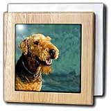 Dogs Airedale - Airedale Terrier - Tile Napkin Holders