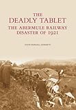 The deadly tablet : the Abermule railway disaster of 1921