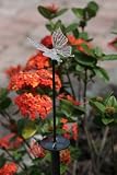 Smart Solar 3054MRM1 Chameleon Solar Stake Light with Butterfly And Moon Topper and Color Changing LED