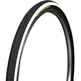 Panaracer(パナレーサー) Tourkinist W/O 700x28 ロード用タイヤ 白ライン 8W728-TKN-W4