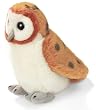 Barn Owl