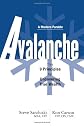 Avalanche: The 9 Principles for Uncovering True Wealth