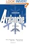 Avalanche: The 9 Principles for Uncovering True Wealth (Modern Parable)