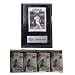 Carlos Pena Tampa Bay Rays Card plaque with 4 packs of Trading Cards