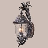 Exterior Sconces - 75110-11 - Monkey Outdoor 2LTS Wall Mount