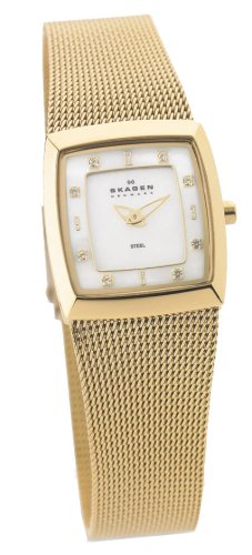 Skagen Watch Style # 380XSGG1